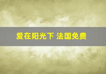 爱在阳光下 法国免费